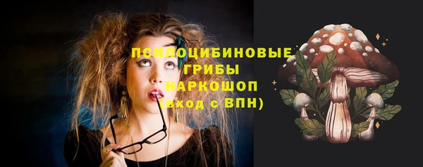 прущие крисы Абинск
